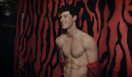 Shawn Mendes desnudo 'Flaunt Magazine'