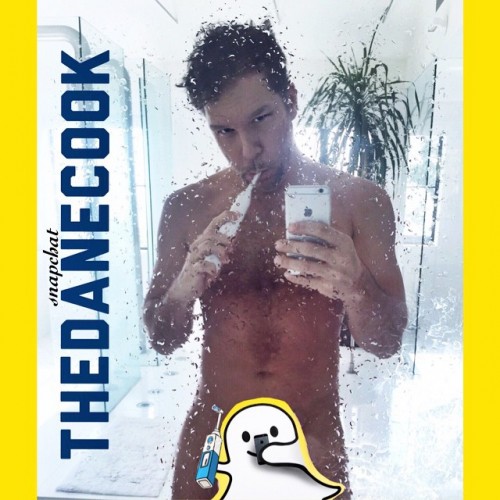 Dane Cook desnudo