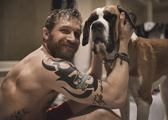 Tom Hardy perritos