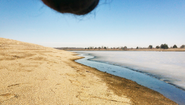 Nutscaping: testículos en paisajes