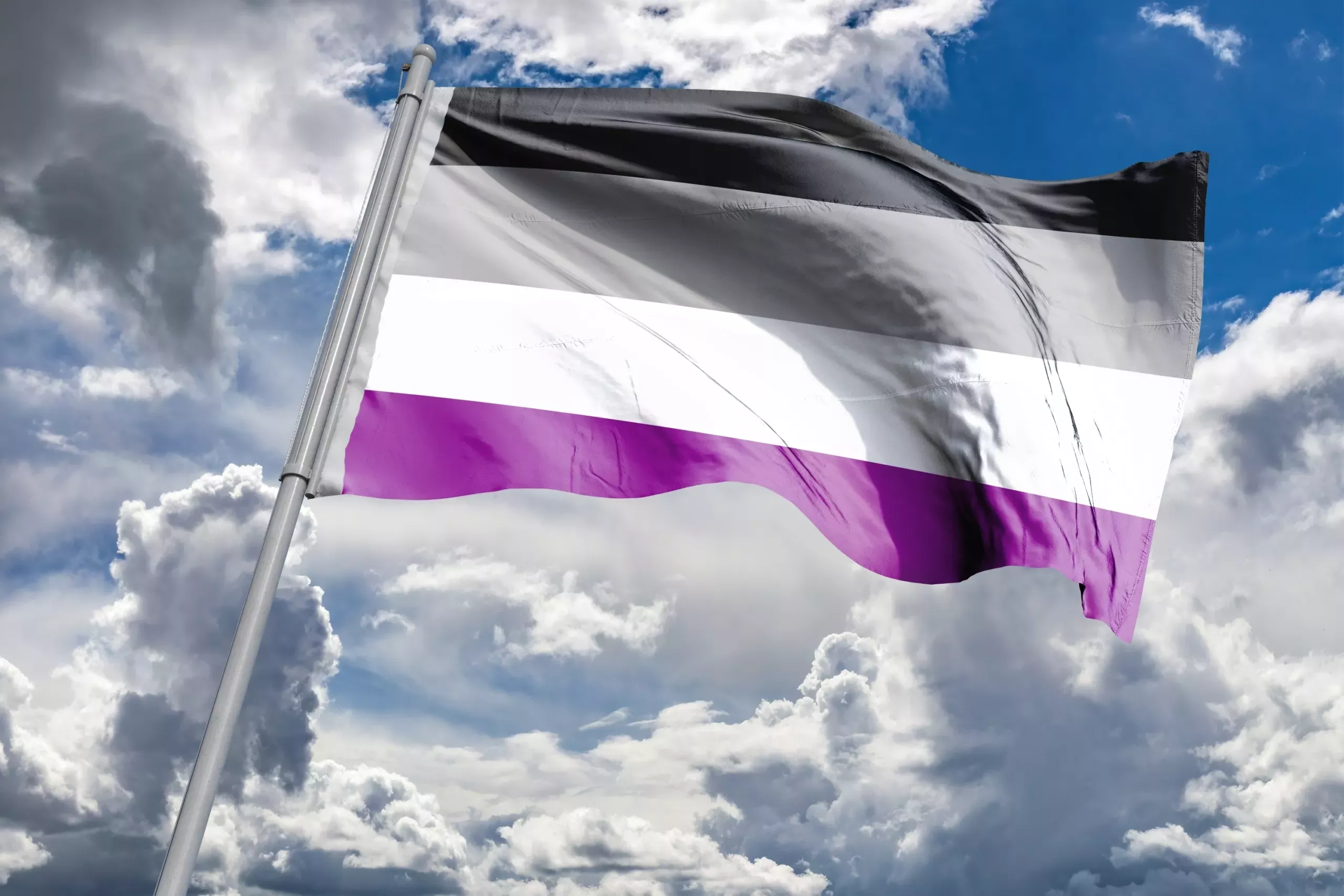 The Asexual Pride Flag