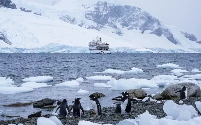 Indulge in Antarctica's nature.