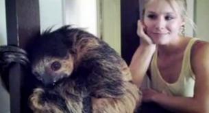 El drama de Kristen Bell con los sloths