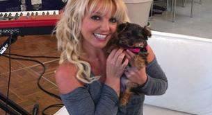 Britney Spears adopta una nueva perrita y le abre una cuenta de Twitter