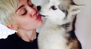 Miley Cyrus, desolada por la muerte de su perrito Floyd