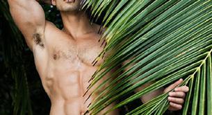 Todd Sanfield desnudo en 'Virgin Island'