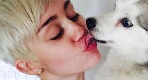 Miley Cyrus contrata a una médium para contactar con su perro muerto