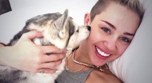 Miley Cyrus deja de tuitear tres días y la dan por muerta