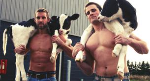 Veterinarios desnudos: ellos también tienen calendario