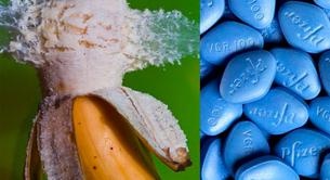 ¿Puede explotar un pene usando Viagra?