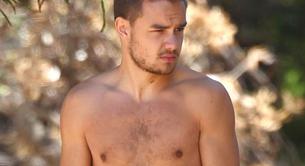 Liam Payne desnudo si su single consigue ser número 1